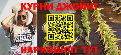 мяу мяу мука Гусев