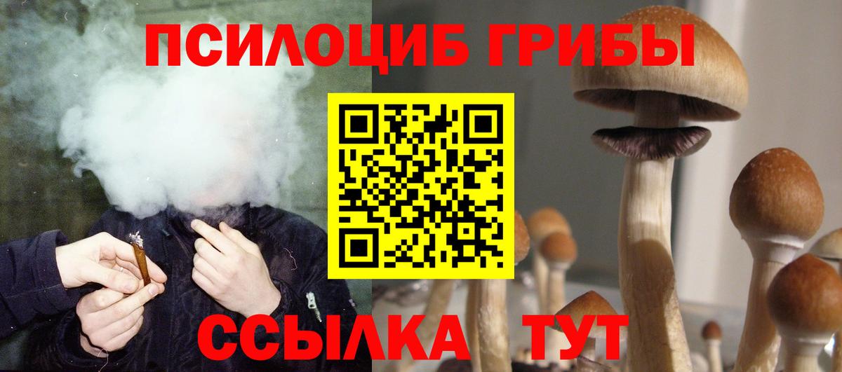 Псилоцибиновые грибы мухоморы Волоколамск